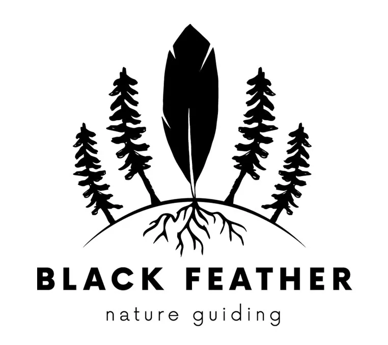 Black Feather Nature Guiding Logo - logo design project