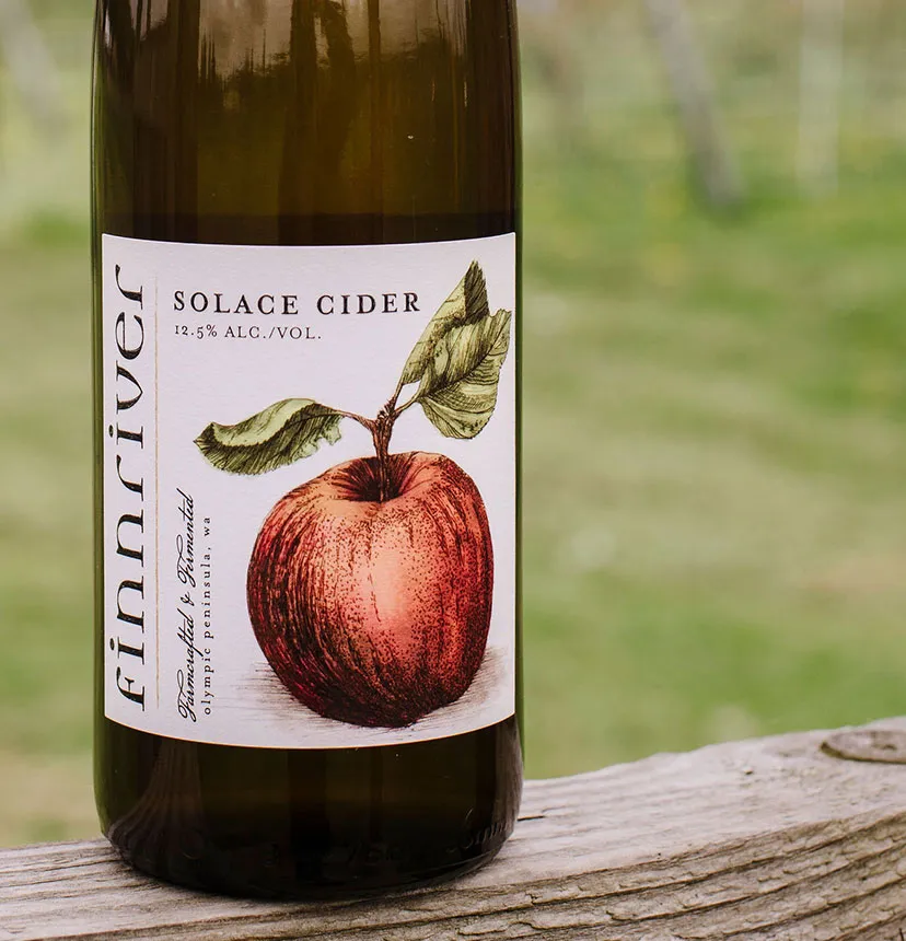 Solace Cider - illustration artwork