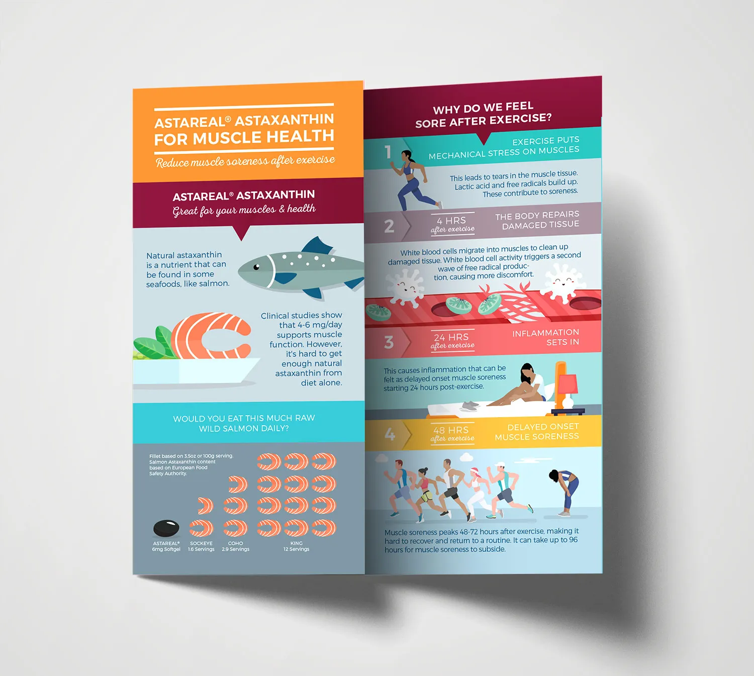 Muscle Health Brochure - AstaReal brand design