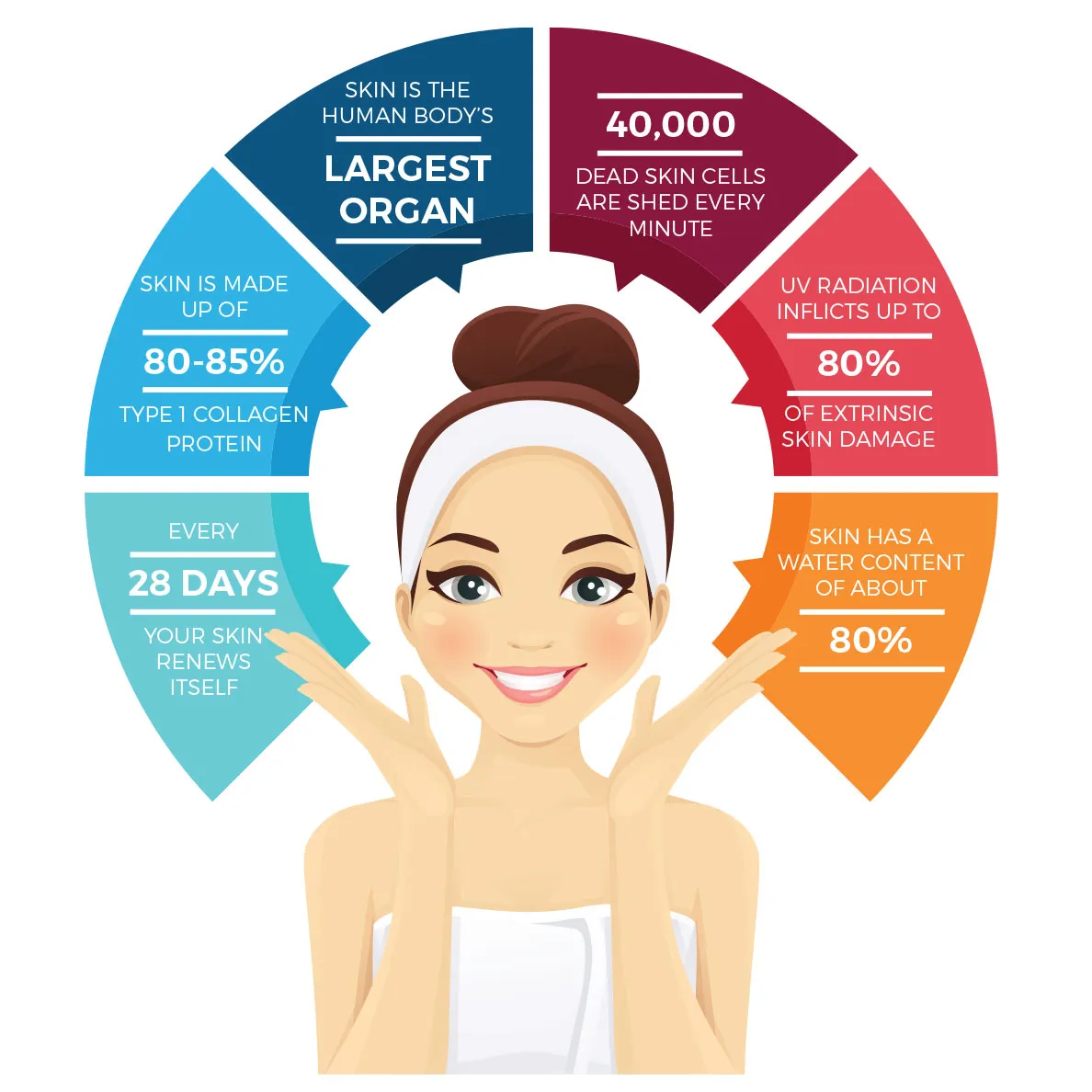 Skin Infographic Astareal - AstaReal brand design