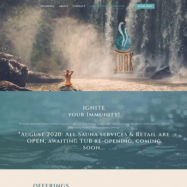soak 2020 website