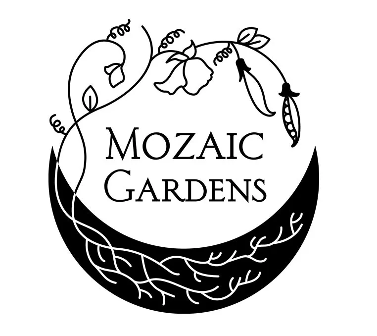 Mozaic - logo design project