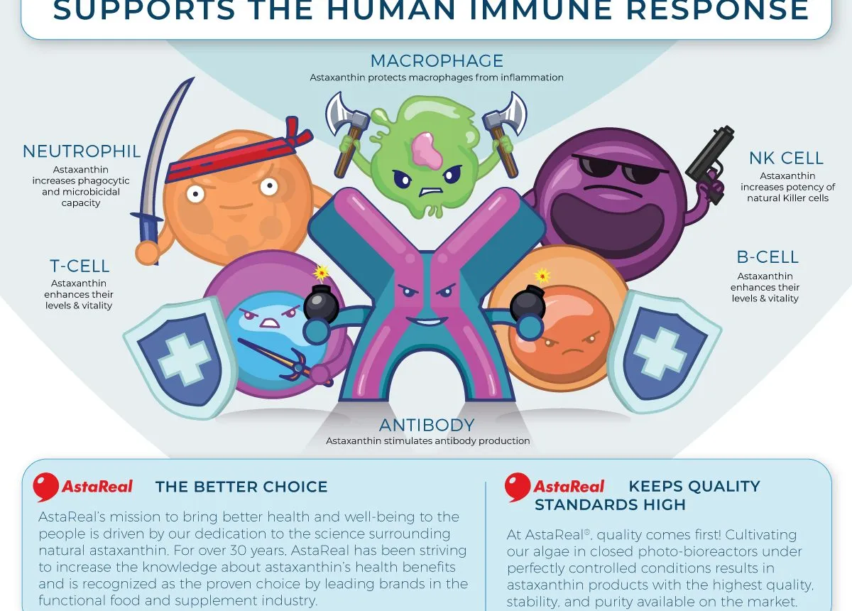 Infographic 10 - illustration artwork